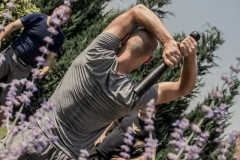 IMG_6698
