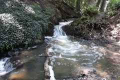 20180616_133430