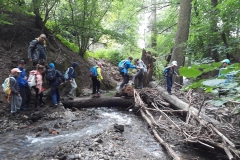 36032450_10214994880377426_5773734152444575744_n