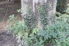 IMG-20180616-WA0003