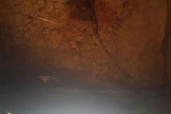 IMG-20180616-WA0007
