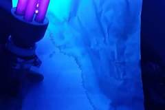 received_10156504517778151