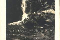 received_985012615012921