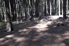 20180714_112308