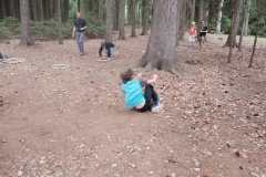 DSCF0235