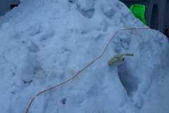 20190203_074118