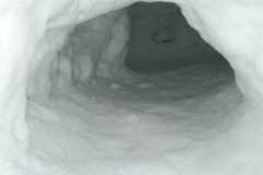 20190203_074150
