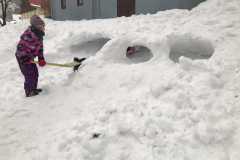 IMG-20190202-WA0024
