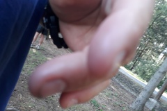 20190703_172848