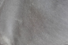 20190703_173759