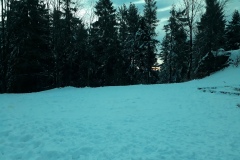 20200216_065850