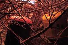 IMG-20200216-WA0016
