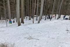 received_260185502966806