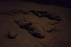 received_275766397873255