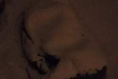 received_496878378485297