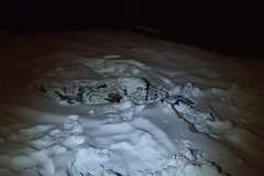 received_620975738975089