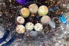 1_20220402_074941683_iOS