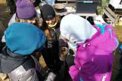 IMG_20220403_122021