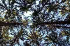 IMG_20220529_082907