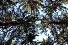 IMG_20220529_082919