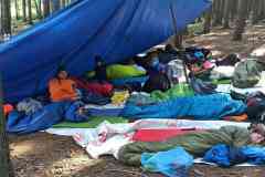 IMG_20220529_085848