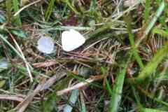 IMG_20220529_110148