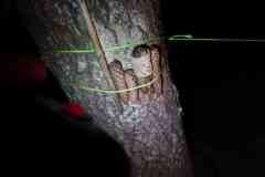 IMG-20220910-WA0021
