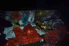 IMG-20220910-WA0022