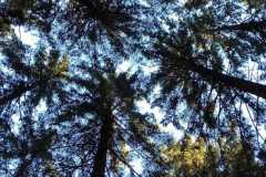 IMG-20240427-WA0000