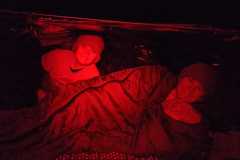 IMG-20240427-WA0001