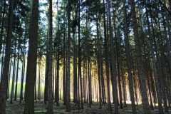 IMG-20240427-WA0002