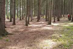 IMG-20240428-WA0009
