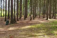 IMG-20240428-WA0010
