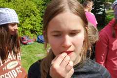 IMG-20240428-WA0018