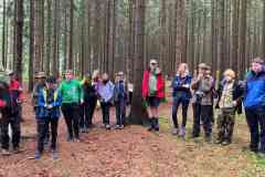 IMG-20240517-WA0003