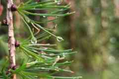 received_1477265646504177