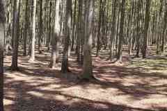 received_342269638566572