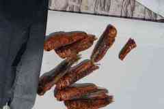 received_365841526479261