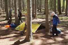 received_417214937787211