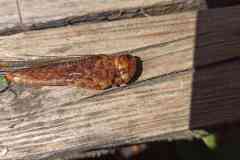 received_431434639497666