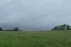 received_439647042123057
