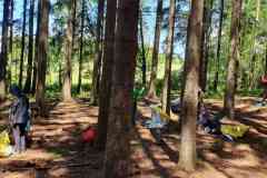 received_474152598407382