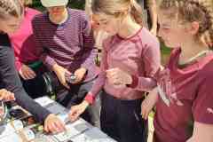 received_493352616371148