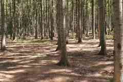 received_6887580208011052