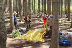 received_742583621186983