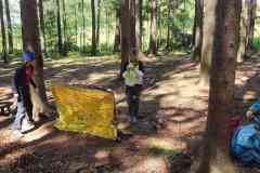 received_7643573569032086