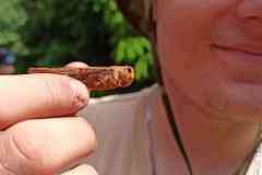 received_824261859034555