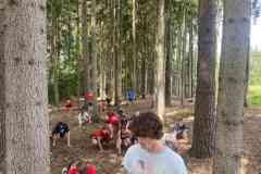 IMG-20240630-WA0052