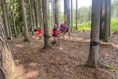 IMG-20240630-WA0069