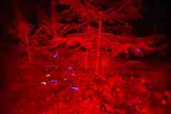 IMG-20240702-WA0008